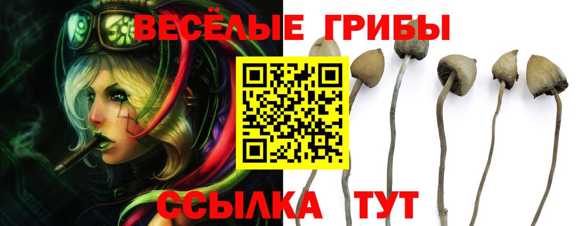 Елец  Галлюциногенные грибы мухоморы  Псилоцибиновые грибы GOLDEN TEACHER  Вход с VPN 